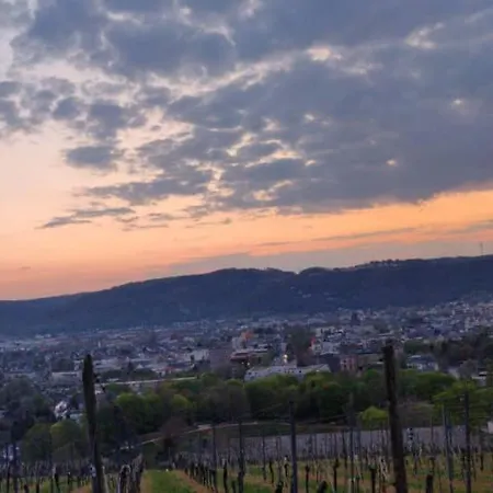 Center & Stadthaus, Zentrum ترير