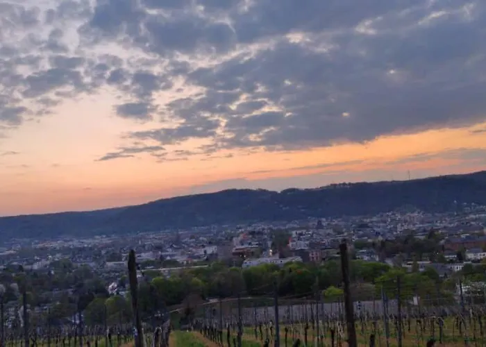 Center & Stadthaus, Zentrum トリーア